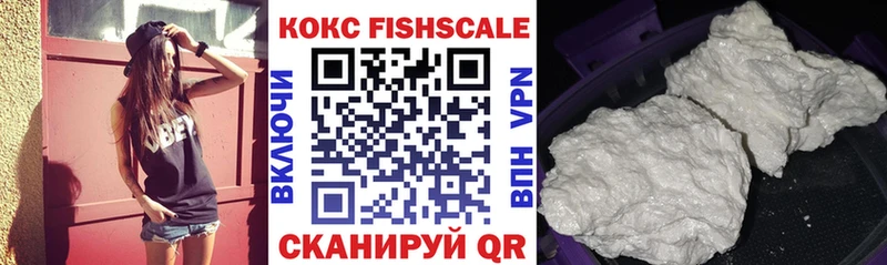 Cocaine FishScale  продажа наркотиков  Кубинка 